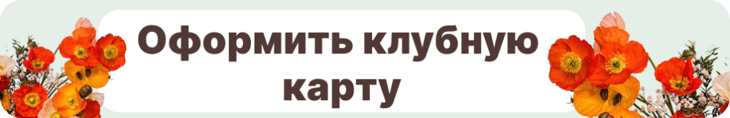 s.png
