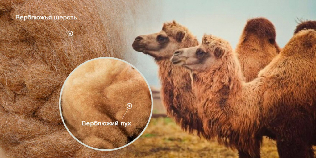 scale_2400 (52).jpeg