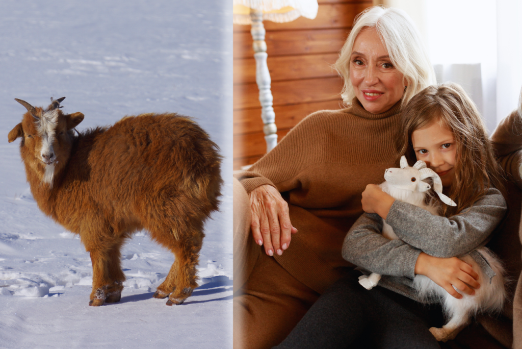 6000 бонусов - 2026-01-19T145240.327.png