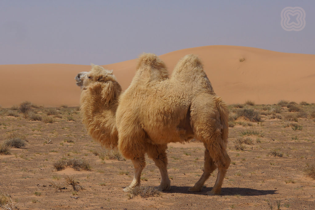 6000 бонусов - 2026-03-06T131510.302.png